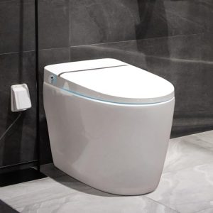 EUROTO Luxury Smart Toilet, Tankless Elongated Toilet with Dual Flush, Foot Kick Lid Opening, Auto Open Lid, Heated Seat, Warm Dryer, Adjustable Water Pressure and Temperature