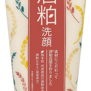 Wafood Made Sake Lees Facial Cleanser 170g Facial Cleanser Dullness Dead Skin Pore Cleansing Transparency Foam Facial Cleanser Arbutin Sake Lees Extract Yeast Rice Fermentation Liquid Rice Ceramide Skin Care