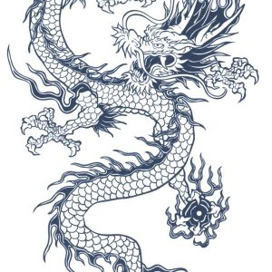 Jagua tattoo, tattoo sticker, tattoo that disappears in 2 weeks, henna tattoo, authentic dragon (gz380)